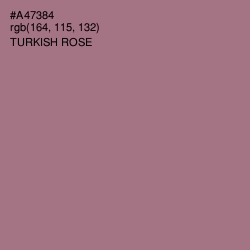 #A47384 - Turkish Rose Color Image
